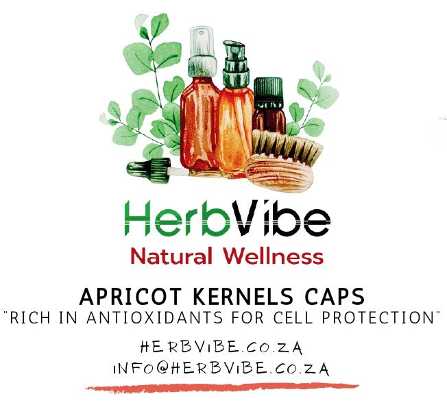 Apricot Kernels Caps
