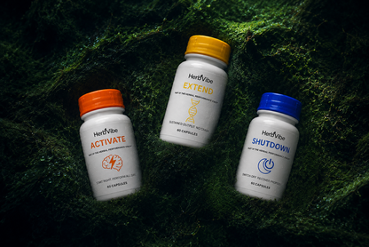 The Herbal Performance Stack™